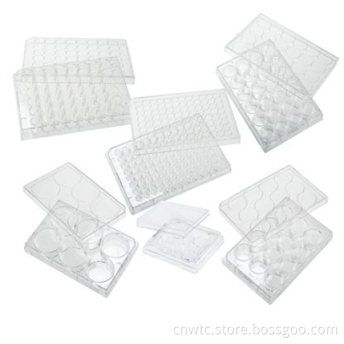 Search Engine Title: Tissue Culture Lab Supplies - 96 Well & 6 Well TC Treated Plates